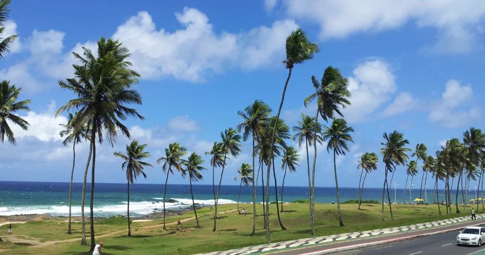Best Beaches Near Candolim, India You Must Visit