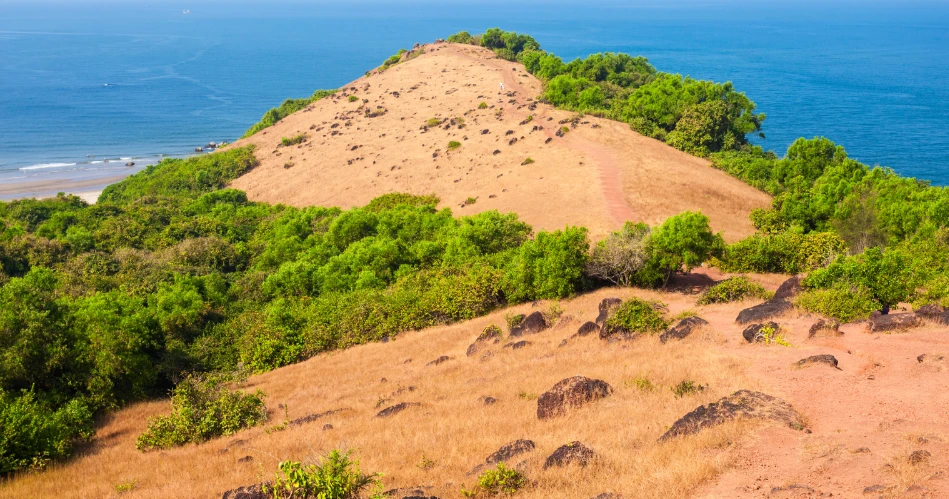 Best Beaches Near Candolim, India You Must Visit